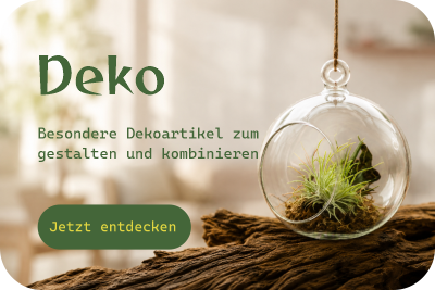 Ausgefallene Dekoartikel und DIY-Elemente für Tillandsien, Bromelien und kreative Pflanzengestaltung