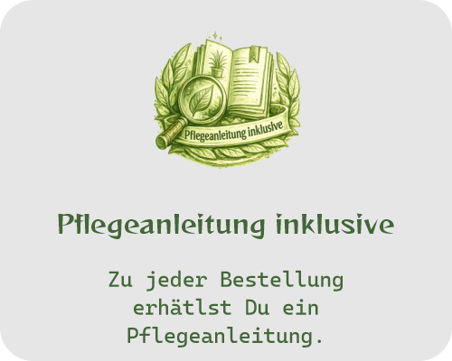 Pflegeanleitung inklusive