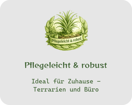 Pflegeleicht und robust