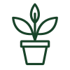 Pflanzensymbol für Qualität und sorgfältig ausgewählte Tropenpflanzen.