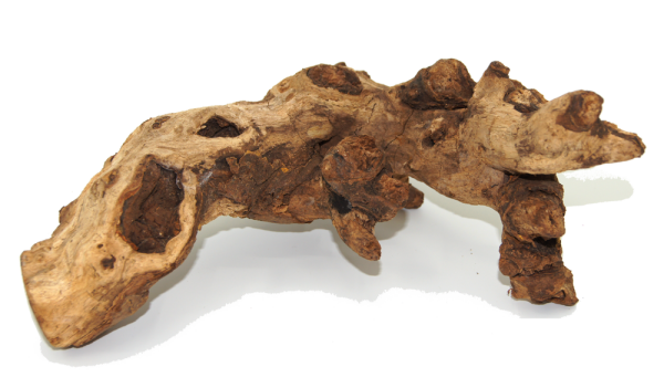 Kuwa Deko-Wurzel aus echtem Maulbeerbaumholz – Naturbelassenes Wurzelholz für Terrarium, Aquarium & Wohn-Dekoration – OmniPlants Kuwa Holz 25–30 cm