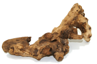 Kuwa Deko-Wurzel aus echtem Maulbeerbaumholz – Naturbelassenes Wurzelholz für Terrarium, Aquarium & Wohn-Dekoration – OmniPlants Kuwa Holz 25–30 cm