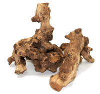 Kuwa Deko-Wurzel aus echtem Maulbeerbaumholz – Naturbelassenes Wurzelholz für Terrarium, Aquarium & Wohn-Dekoration – OmniPlants Kuwa Holz 25–30 cm