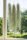 Tillandsia usneoides 50–60 cm – Spanisches Moos, Luftpflanze ohne Erde, für Fenster, Terrarium & Naturdeko