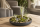 Tillandsien 20er Mix (5 Sorten x4) – Luftpflanzen Set 5–22 cm – Pflegeleicht, ohne Erde – Bromeliengewächs – Deko Pflanzen für Zuhause, Terrarium & Geschenk – plastikfrei verpackt