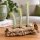 Tillandsia funckiana ca. 10–12 cm – schlanke Luftpflanze ohne Erde – pflegeleichte Tillandsie für Terrarium, Holz & Naturdeko – aus Gärtnereizucht – inkl. Pflegeanleitung