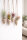 Tillandsien 10er Mix (5 Sorten je 2x) – Luftpflanzen Set 5–22 cm – Pflegeleicht ohne Erde – Bromeliengewächs für Deko, Terrarium & Wohnraum – OmniPlants