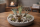 Tillandsien 8er Mix – 8 verschiedene Luftpflanzen (5–22 cm) | Tillandsia Set | Pflegeleicht, ohne Erde | Luftpflanzen Deko für Zuhause, Terrarium & Büro | inkl. Pflegeanleitung