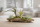 Tillandsien 4er Mix – 4 verschiedene Luftpflanzen – Tillandsia Bromeliengewächs – pflegeleicht – 5–15 cm – Deko Pflanzen mit Pflegeanleitung