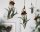 Tillandsia pruinosa var. guatemala – Luftpflanze Air Plant ca. 8 cm