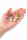 Tillandsia brachycaulus abdita M (ca. 9 cm) – Luftpflanze ohne Erde – Pflegeleicht & dekorativ – Bromelie aus Guatemala & Mexiko – Ideal für Terrarium, Deko & Geschenk