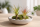 Tillandsia tricolor M (ca. 15 cm) – Exotische Luftpflanze ohne Erde – Pflegeleicht & dekorativ – Air Plant für Zuhause, Terrarium & Geschenk – inkl. Pflegeanleitung – plastikfrei verpackt