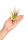 Tillandsia tricolor M (ca. 15 cm) – Exotische Luftpflanze ohne Erde – Pflegeleicht & dekorativ – Air Plant für Zuhause, Terrarium & Geschenk – inkl. Pflegeanleitung – plastikfrei verpackt