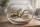 Tillandsia pseudobaileyi M (ca. 18 cm) – Große Luftpflanze ohne Erde – pflegeleicht & dekorativ – Air Plant für Terrarium, Deko & Geschenk – inkl. Pflegeanleitung – plastikfrei | OmniPlants