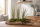 Tillandsia juncea L (ca. 40 cm) – Große Luftpflanze ohne Erde – Exotische Air Plant für moderne Deko, Terrarium & Holz – Pflegeleicht & stilvoll | OmniPlants