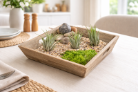 Tillandsia kolbii S (ca. 4 cm) – Mini Luftpflanze ohne Erde – Pflegeleicht & dekorativ – Ideal für Terrarium, DIY & Geschenk – Air Plant Bromelie – OmniPlants