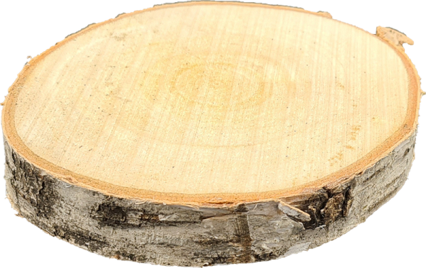 Birkenscheibe 14-17 cm