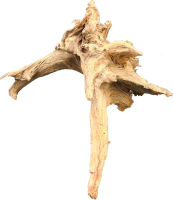 Fichtenwurzel ca. 20-30 cm