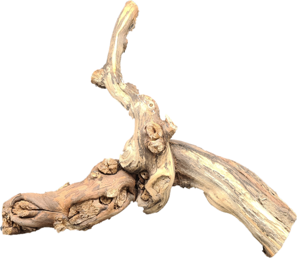 Reb-Knuddel 20-30 cm