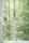 OmniPlants – Tillandsien 5er-Mix mit EXTRA T. fuchsii var gracilis, luftreinigende Air Plants, pflegeleicht, natürliche Deko, Gärtnereizucht