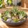 Tillandsia velutina M ca. 10 cm – Luftpflanze ohne Erde – Air Plant