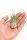Tillandsia kolbii M ca. 7 cm – Luftpflanze Air Plant für Deko & Terrarium